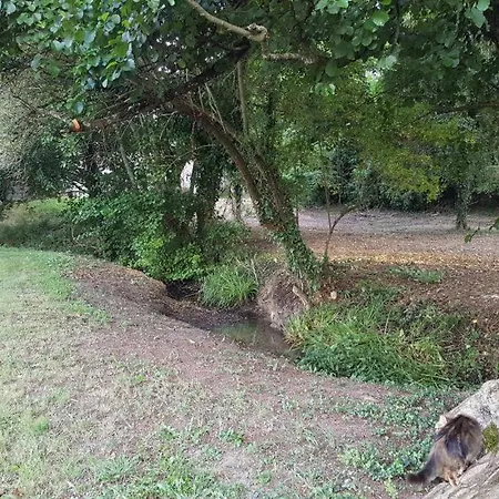 Saint Emilion - Le Clos D'antan 3* Les Artigues-de-Lussac