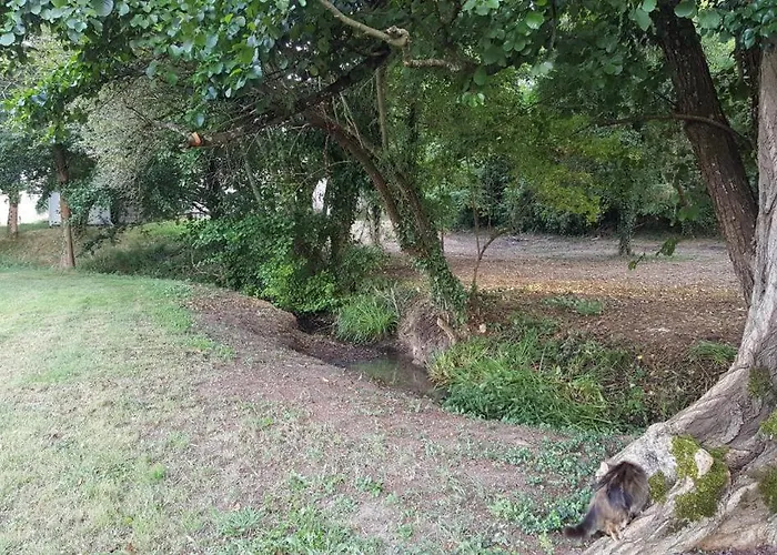 Saint Emilion - Le Clos D'antan 3* Les Artigues-de-Lussac