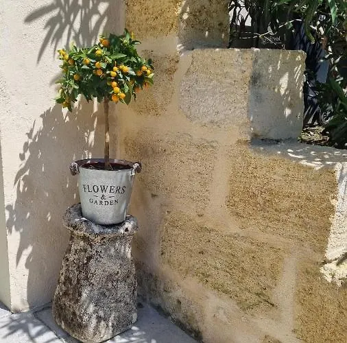 Gæstehus Saint Emilion - Le Clos D'antan 3*